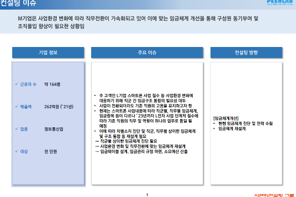 [일터혁신컨설팅]소프트웨어 검증사업 기업의 임금체계개선 컨설팅 사례